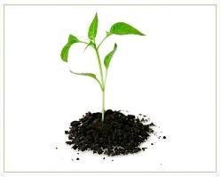 Slider image (3) AMG Nutrition Services